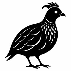 Quail Black silhouette