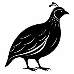 Quail Black silhouette