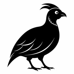Quail Black silhouette