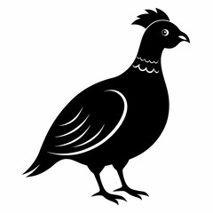 Quail Black silhouette