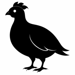 Quail Black silhouette
