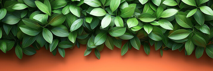 Fototapeta premium Lush green leaves create a vibrant contrast against a warm orange background.