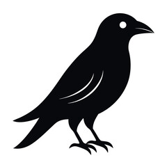 Fototapeta premiumEuropean starling bird icon vector illustration. 