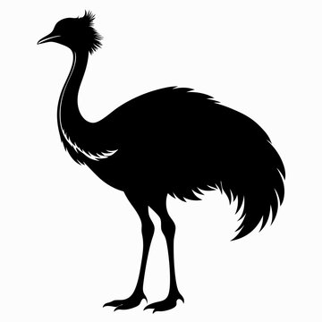 recommend clip art: Emu Black silhouette