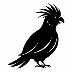 Fototapeta premium Cockatiel Black silhouette