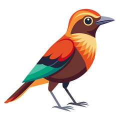 illustration of a bird on white background 