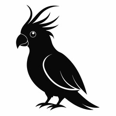 Cockatiel Black silhouette