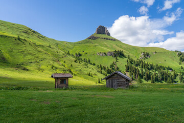 Mountain landscape in summer. Ciampac (Canazei), Fassa Valley, Italian Dolomites. green grass,...