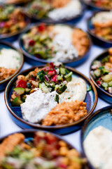 An assortment of vibrant Mediterranean mezze, featuring fresh cucumber salad, creamy yogurt dip, hummus, and rich, spiced spreads. A delightful and flavorful dish perfect for sharing.
