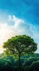 Obraz premium A vibrant green tree standing tall under a bright blue sky with fluffy clouds, symbolizing nature's beauty and tranquility.
