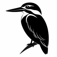 Kingfisher Black silhouette