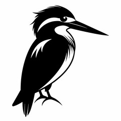Kingfisher Black silhouette