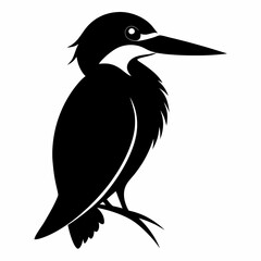 Fototapeta premium Kingfisher Black silhouette
