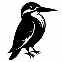 Kingfisher Black silhouette