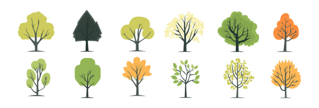 Tree and leaf collection hand drawn flat design element. botanical set of bare trees and ones with leaves and lush limited pastel color