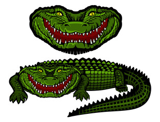 color aligator only head and with body.eps