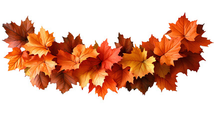dried up maple leaf garland top view png. Orange maple leaves garland for autumn fall season flat lay isolated