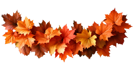 dried up maple leaf garland top view png. Orange maple leaves garland for autumn fall season flat lay isolated