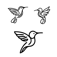 Bird icon, bird outline, bird silhouette on white background