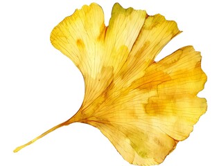Naklejka premium Stunning Golden Watercolor Ginkgo Leaf on Crisp White Background