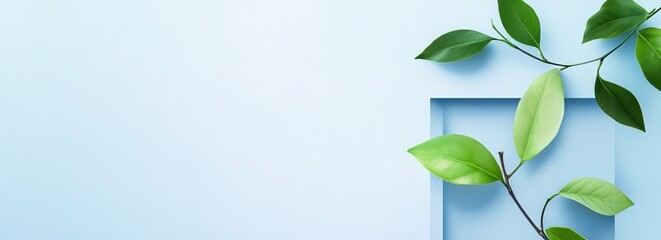 Innovation is the practical implementation of ideas that result in the introduction of new goods or services or improvement in offering goods or services.