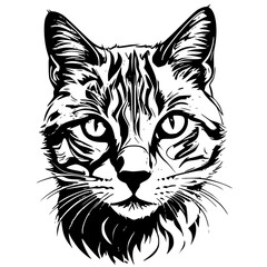 vector illustration of a cat