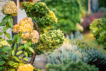 Lush Garden With Unique Shrub Shapes and Vibrant Flowers in a Serene Outdoor Setting During Daylight