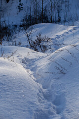 Footprints on the sparkling and white snow