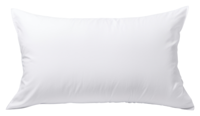 PNG Pet pillow seat mockup white cushion white background.