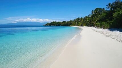 A tranquil beach with white sand and crystal-clear turquoise water, surrounded by palm trees.