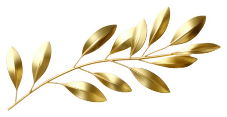 PNG Olive leaves gold shiny plant.