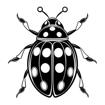 black and white ladybug insect clip art preview