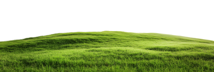 Panoramic view of rolling green hills, lush meadows, and verdant fields in serene rural countryside, showcasing wide open spaces and a peaceful pastoral landscape, PNG format