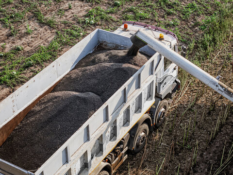 Close up combine harvester unloads a bin of high oleic sunflower seeds into trailer. European Agricultural Guarantee Fund