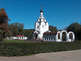 eye, eyelashes, pupil, letters, eyelid, blue
