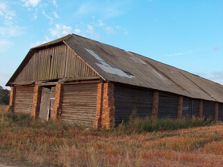 belarus, village, field, gardens, houses, roads, sidewalks, trees, flowers, river, forest, pine trees, spruce, meadows, pasture, huts, fence, well