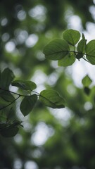 Obraz premium Fresh green leaves on natural background.