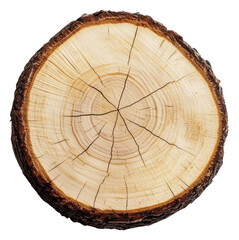 Fototapeta premium Tree stump cross-section on white, cut out - stock png.