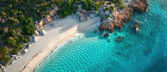 Fototapeta premium Tranquil Aerial View of a Stunning Beach with Turquoise Waters and White Sand