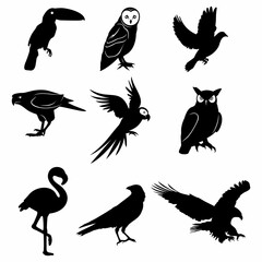 Bird animal silhouette set collection image 