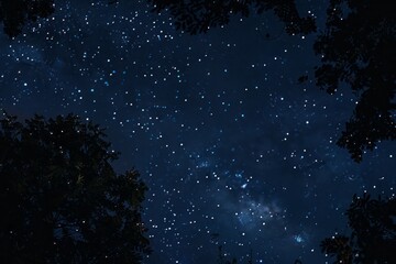 Night sky - Universe filled with stars, nebula and galaxy, celestial panorama, DSLR camera, prime, star-studded, documentary, digital, heightened realism, moonlit