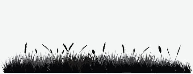 Abstract background with meadow wild herbs and flowers. Wildflowers. Floral background. Wild grass.eps10