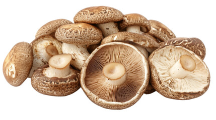 Fresh Mushrooms Close-Up.