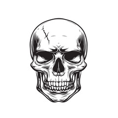 Skull Vector Art Illustrations Vector Image isolated on white background..