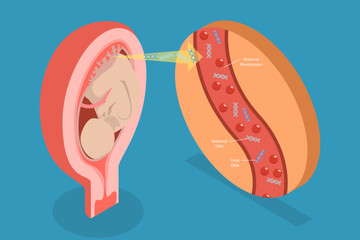 3D Isometric Flat Vector Illustration of Noninvasive Parental Testing, Concept of NIPT