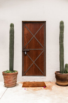 Wooden Barn Door with Tall Cacti in Terracotta Pots