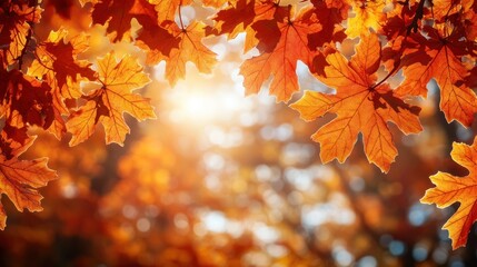 Autumn background with orange fall leaves. Garden scene on fall season with bright shiny sun ray and maple tree