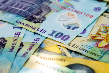 LEI money banknotes, detail photo of RON
