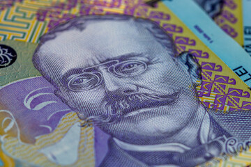 Fototapeta premium LEI money banknotes, detail photo of RON