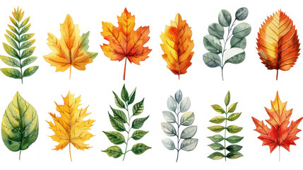Fototapeta premium A vibrant array of autumn leaves showcasing the beauty of nature's colors and diversity in a forest setting. Generative AI